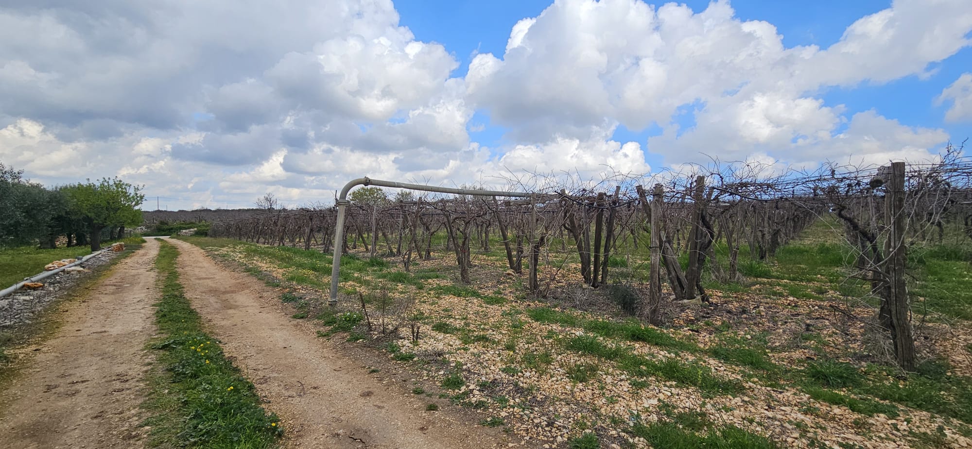 Terreno di 33.700 mq ca. con Fabbricato Rurale